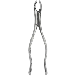 forcep-para-molares-universal-6B