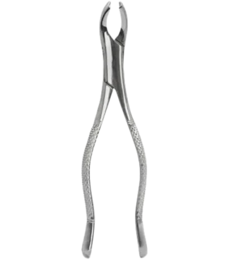 forcep-para-molares-universal-6B